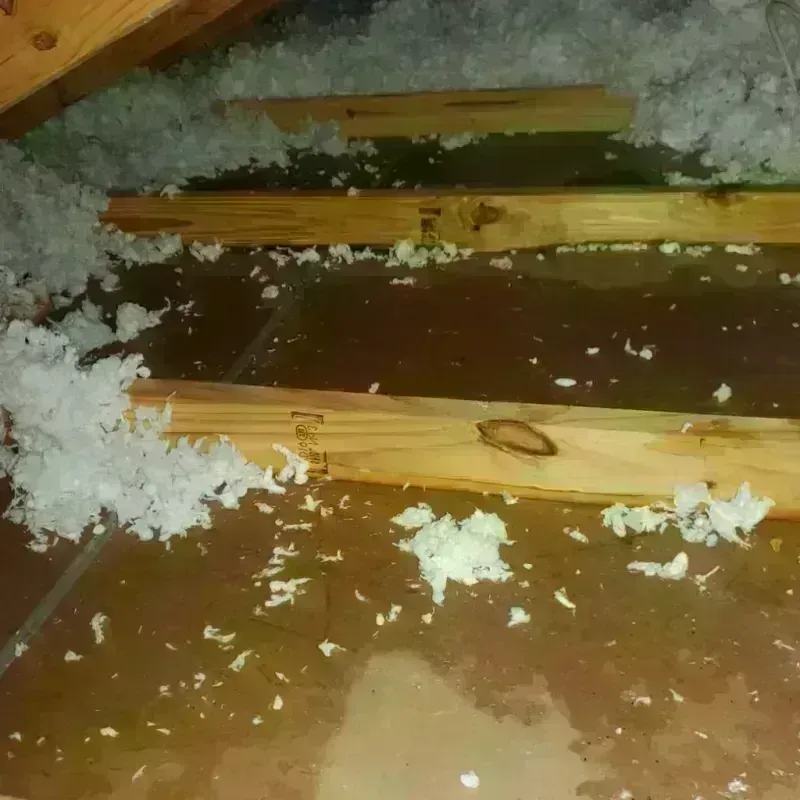 Attic Water Damage in Castle Rock, WA