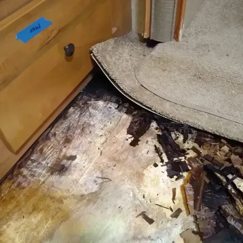 Wood Floor Water Damage in Castle Rock, WA